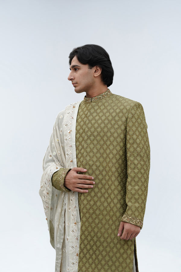 IHTISAM OLIVE SHERWANI
