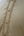 Sand Gold kurta