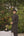 NEVA BLACK SHERWANI