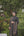 EFSUN BLACK SHERWANI