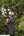 GONUL BLACK SHERWANI