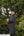 GONUL BLACK SHERWANI