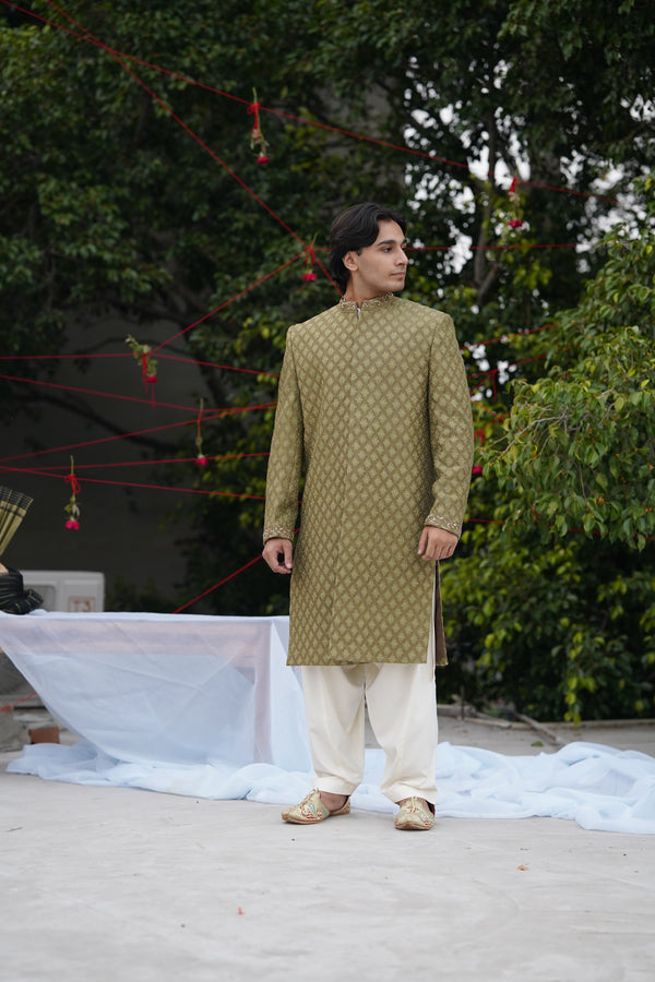IHTISAM OLIVE SHERWANI