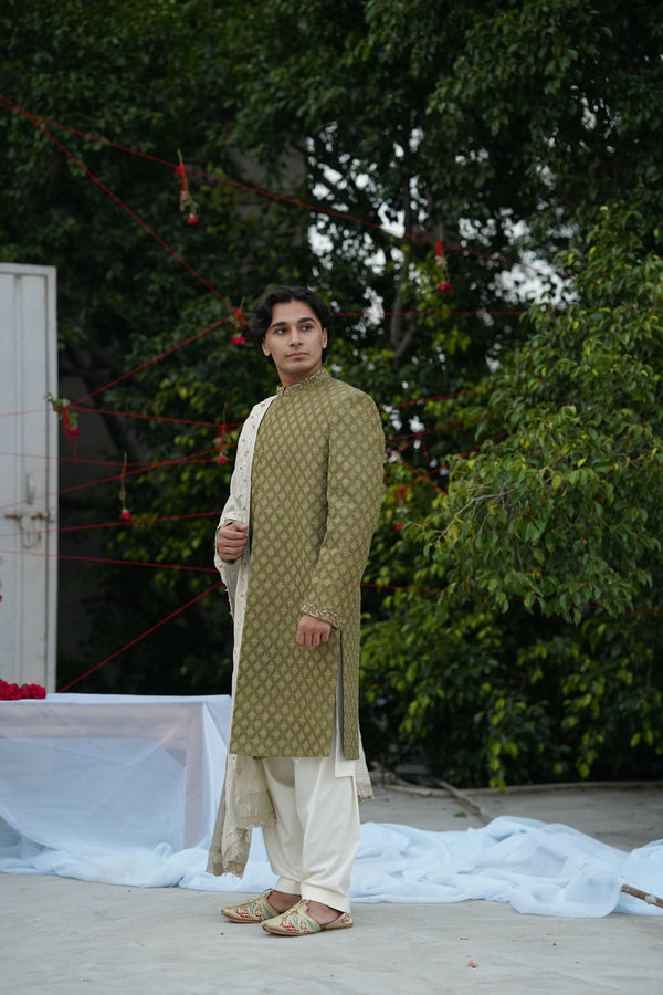 IHTISAM OLIVE SHERWANI