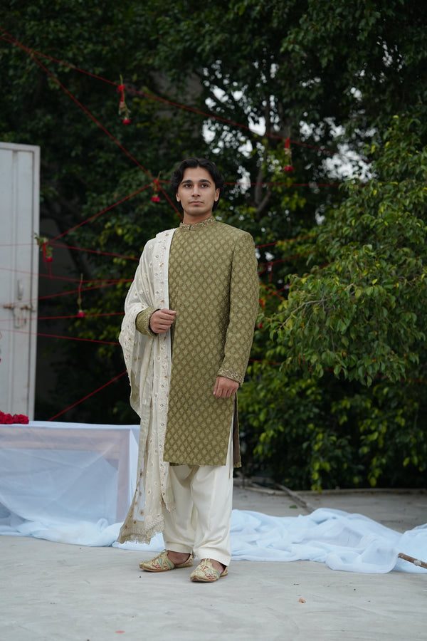 IHTISAM OLIVE SHERWANI