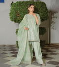 Mint Aura- Embroidered Organza Set